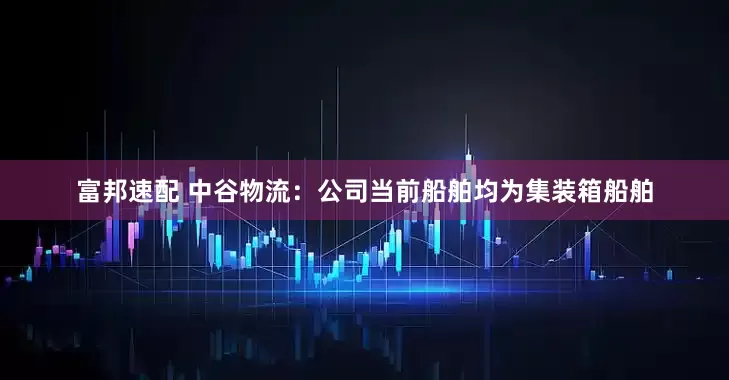 富邦速配 中谷物流：公司当前船舶均为集装箱船舶