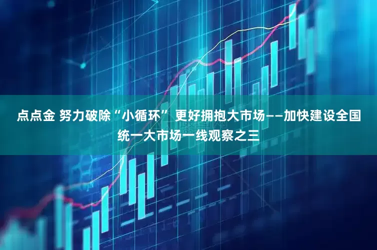 点点金 努力破除“小循环” 更好拥抱大市场——加快建设全国统一大市场一线观察之三