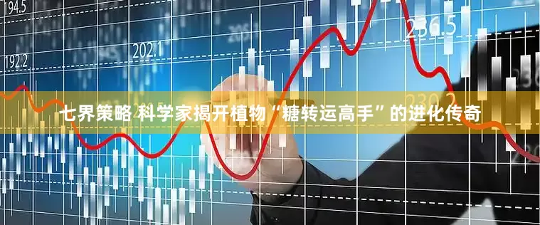 七界策略 科学家揭开植物“糖转运高手”的进化传奇