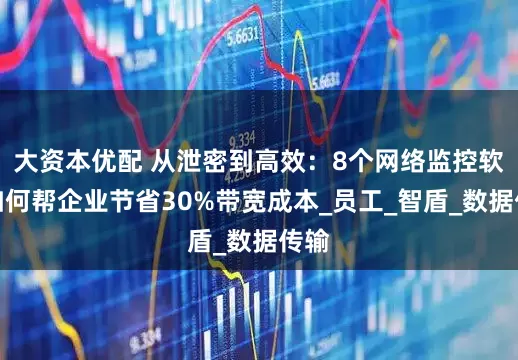 大资本优配 从泄密到高效：8个网络监控软件如何帮企业节省30%带宽成本_员工_智盾_数据传输
