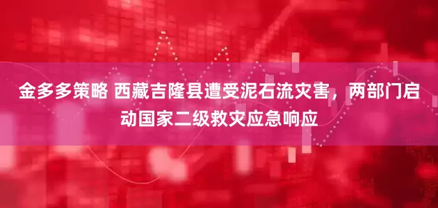 金多多策略 西藏吉隆县遭受泥石流灾害，两部门启动国家二级救灾应急响应